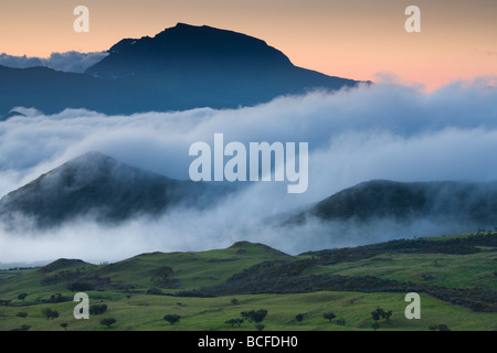 Insel La Réunion, Bourg-Murat, Plaine-des-Cafres, Landschaft in Richtung der Piton des Neiges Stockfoto