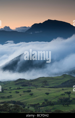 Insel La Réunion, Bourg-Murat, Plaine-des-Cafres, Landschaft in Richtung der Piton des Neiges Stockfoto