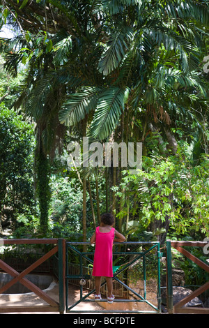 Seychellen, Insel Mahe, Victoria, botanische Gärten, Mädchen durch die Riesenschildkröte Fläche (NR) Stockfoto