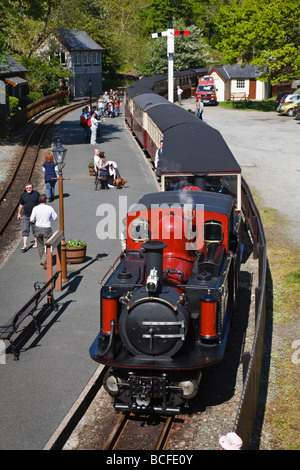 Dampfmaschine, die Eingabe der Tan-y-Bwlch Bahnhof, wieder Eisenbahn, Snowdonia-Nationalpark, Wales Stockfoto