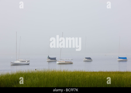 USA, Massachusetts, Cape Ann, Gloucester, Annisquam Hafen im Nebel Stockfoto