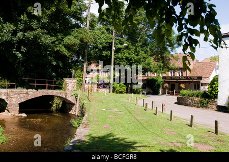 Cannington Somerset England UK Stockfoto