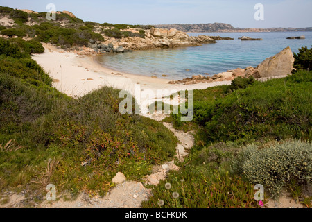 Einem einsamen Strand auf der Insel Spargi, La Maddalena-Archipel, Sardinien. Stockfoto