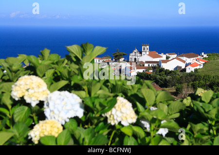 Teilansicht des Pedreira Nordeste Dorf mit Hortensien im Vordergrund. Nordeste, Insel Sao Miguel, Azoren, Portugal Stockfoto