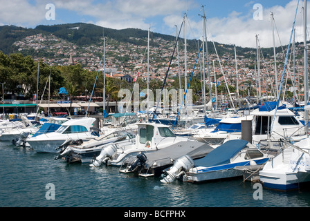 Marina in Funchal, Madeira. Stockfoto