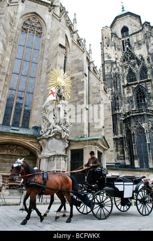 WIEN, Österreich – Ein Pferdewagen, der vor dem Stephansdom in Wien vorbeifährt. Die ikonische gotische Kathedrale steht hoch im Hintergrund und trägt zum historischen Charme der Szene bei. Der Stephansdom ist ein bedeutendes Wahrzeichen in Wien. Stockfoto