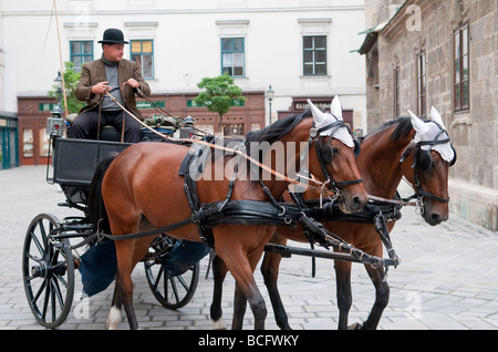 WIEN, Österreich – Ein Pferdewagen, der vor dem Stephansdom in Wien vorbeifährt. Die ikonische gotische Kathedrale steht hoch im Hintergrund und trägt zum historischen Charme der Szene bei. Der Stephansdom ist ein bedeutendes Wahrzeichen in Wien. Stockfoto