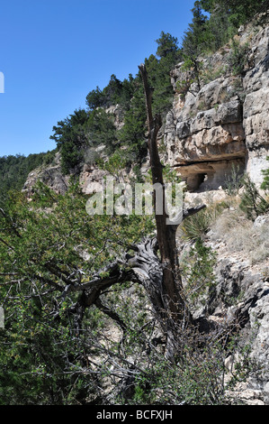 Sinagua Ruinen Walnut Canyon AZ 090510 34360 Stockfoto