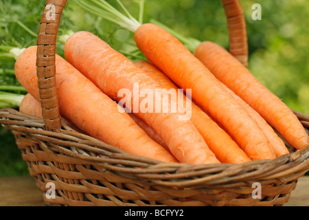 Karotten und Korb Stockfoto