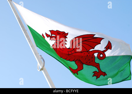walisische Flagge hoch keine 2719 Stockfoto