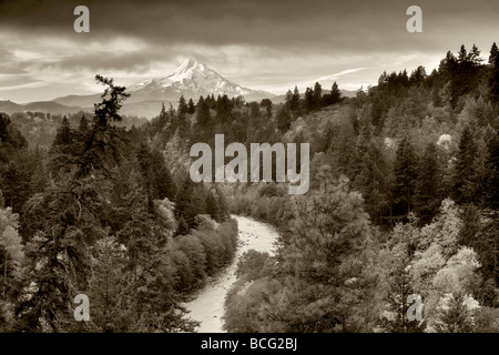 Blick auf Mt. Hood und Hood River mit Fallfarbe Oregon Stockfoto