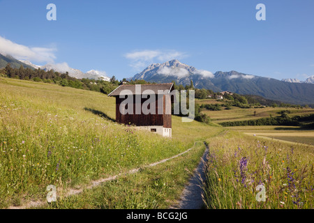 Track und Scheune im Sommer alpinen Blumenwiesen im grünen Tal in den frühen Morgenstunden. Imst Tirol Österreich Europa. Stockfoto