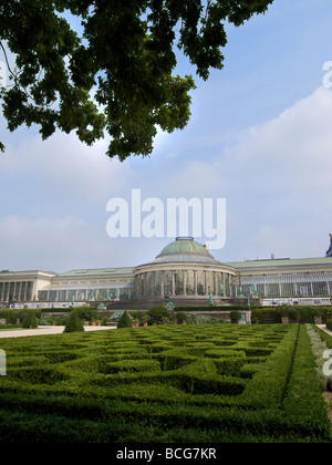 Botanischer Garten Universität Gewächshaus Pflanzen Sukkulenten
