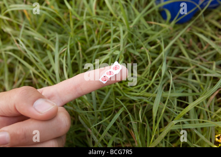 Säure-LSD löst oder laschen auf a bemannt den Finger Stockfoto