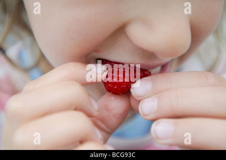 Ein sechs Jahre altes Mädchen essen frisch aus dem Garten Himbeeren Stockfoto