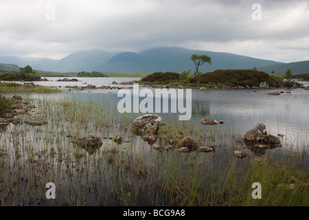 Man Na Achlaise, Rannoch Moor, Schottland Stockfoto