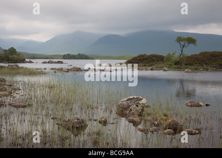 Man Na Achlaise, Rannoch Moor, Schottland Stockfoto