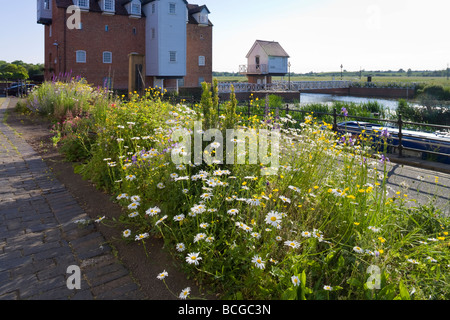 Am Abend Sonnenlicht auf Blumen in St Marys Straße und Abtei Mühle neben dem Fluss Avon, Tewkesbury, Gloucestershire Stockfoto