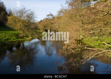 Der Fluss Wye am Monsal Dale im Peak District in Derbyshire Stockfoto