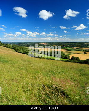 Die North Downs. Westerham Kent England UK Stockfoto