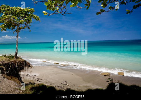 Blick auf einen Baum am Rande der zerfallenden Land am Playa Grande mit Blick auf den Atlantischen Ozean in die Dominikanische Handelsministerium Stockfoto