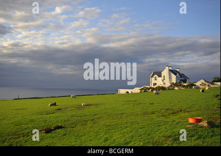 Haus und Schafe und Klippen auf dem Giant s Causeway Küstenstraße in Nordirland Sonnenuntergang Stockfoto