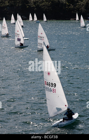 Laser Klasse Segelboote auf Sydney Hafen New South Wales Australien Stockfoto