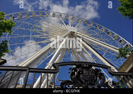 Der Belfast City Hall mit Riesenrad Stockfoto