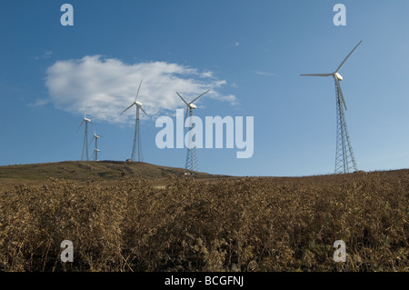 Windkraftanlagen Alberona Italien Stockfoto