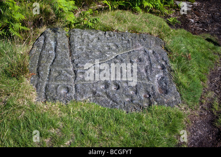 Prähistorische Felszeichnungen auf Ilkley Moor, Yorkshire UK Stockfoto