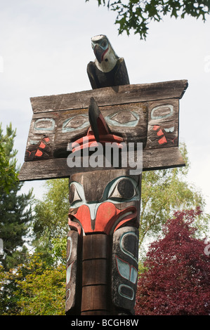 Victoria, Britisch-Kolumbien. Ein schönes Beispiel von Nordwesten Native Indian Totem Osen. In diesem Beispiel wurde im Thunderbird Park gefunden. Stockfoto