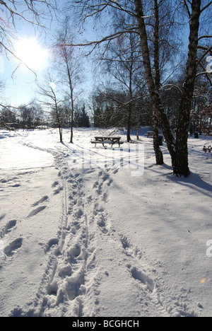 Spuren im Schnee Stockfoto