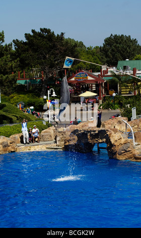 Delphin springen aus dem Wasser, eine Flagge auf dem Meer zu berühren World San DIego. Stockfoto