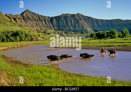 BEAN ALPix-0089 Stockfoto