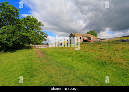 Scheune in der Nähe von Linton Grassington, Yorkshire Dales National Park, North Yorkshire, England, UK. Stockfoto