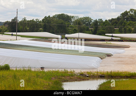 Fort Madison Iowa Rotorblätter im Siemens-Energie Fort Madison Klinge Werk Stockfoto