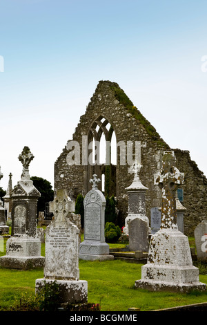 Augustine Kloster des Heiligen Insel, Grafschaft Longford, Irland Stockfoto