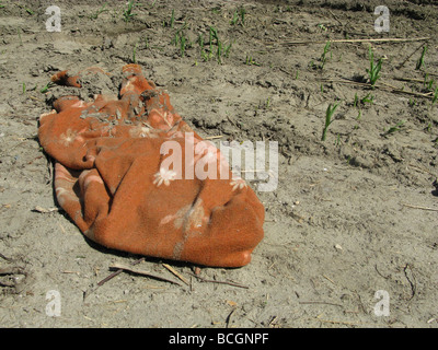 eine Decke in schlammigen Feld in Sonne Stockfoto