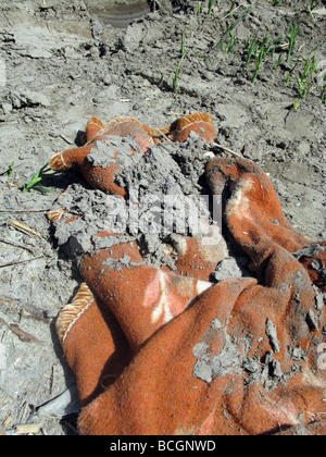 eine Decke in schlammigen Feld in Sonne Stockfoto