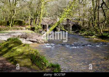 Draynes Brücke Golitha nationalen Naturreservat an der Fluss Fowey cornwall Stockfoto