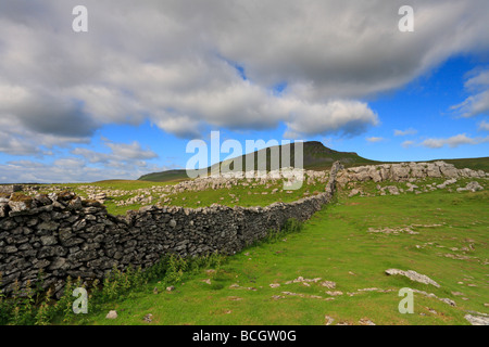 Kalkstein Bürgersteig und Pen-y-Gent, Yorkshire Dales National Park, North Yorkshire, England, UK. Stockfoto