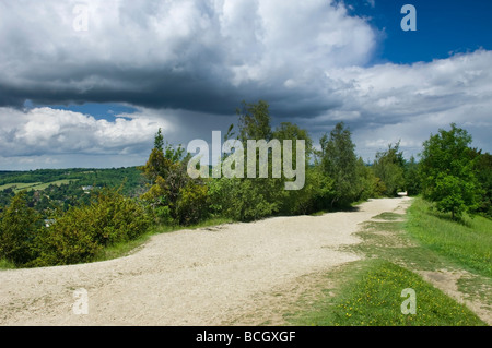 Ansicht der englischen Landschaft aus Box Hill in der Nähe von Dorking Surrey England UK Stockfoto