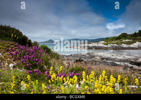 Strand in der Nähe von Kileen Ring of Kerry County Kerry Irland Stockfoto