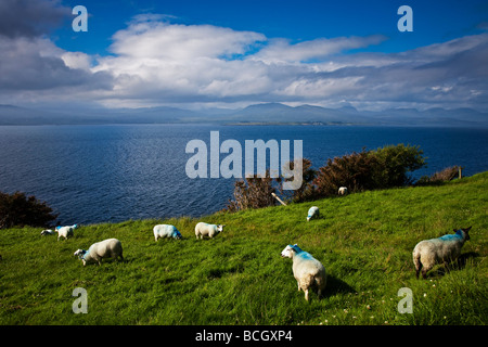 Blick auf die Kenmare River Mündung von Thr Beara Halbinsel County Kerry Irland Stockfoto