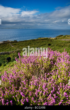 Blick auf die Kenmare River Mündung von Thr Beara Halbinsel County Kerry Irland Stockfoto