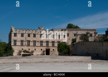 Petit Palais Museum Schlossplatz Avignon Frankreich Stockfoto