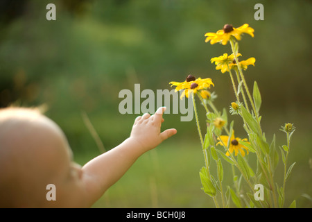 Baby Boy für Blumen zu erreichen Stockfoto