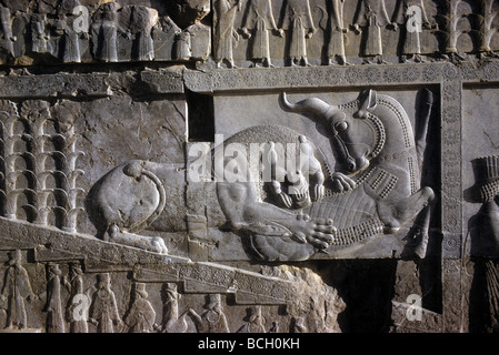 Teil von einem Flachrelief eines Löwen Angriff auf einen Stier in Persepolis Iran ein Symbol der zoroastrischen Religion unter Bezugnahme auf jetzt Roz neu Stockfoto