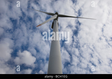 Eine Windkraftanlage der Total Oil Company an einem Standort in Dünkirchen Nordfrankreich Stockfoto