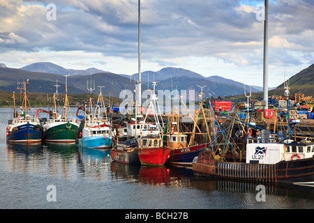 Angelboote/Fischerboote im Hafen von Ullapool Western Highlands Schottland UK 2009 Stockfoto